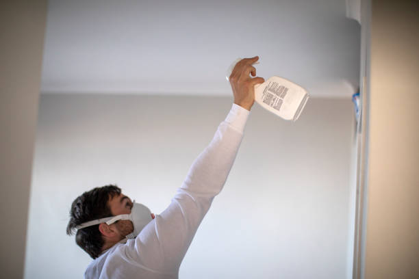 Best Office Mold Removal Services  in Apple Valley, CA