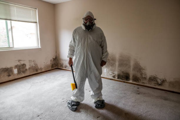 Best Mold Remediation  in Apple Valley, CA